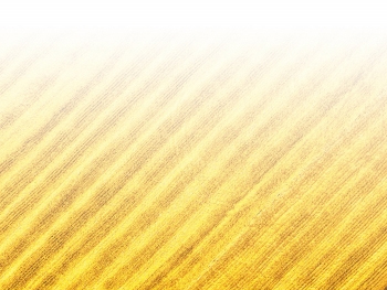智能農(nóng)機(jī)、“訂單”服務(wù)、“云端”種菜——來(lái)自江西的春耕“新事”